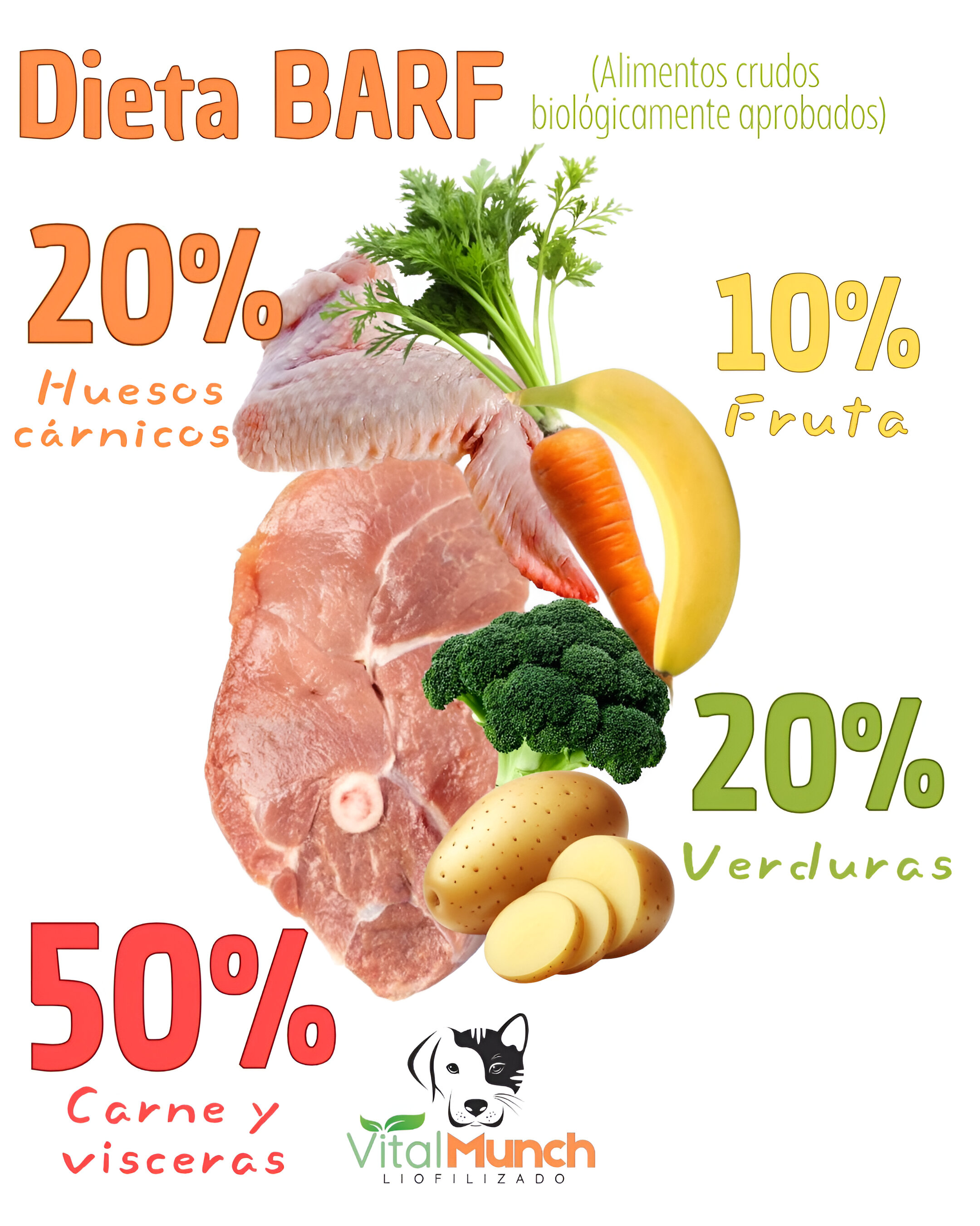 Perro saludable con dieta BARF